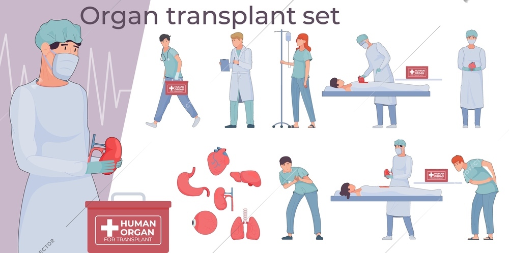 Organ transplant flat set of isolated compositions with limb icons and characters of doctors transporting organs vector illustration