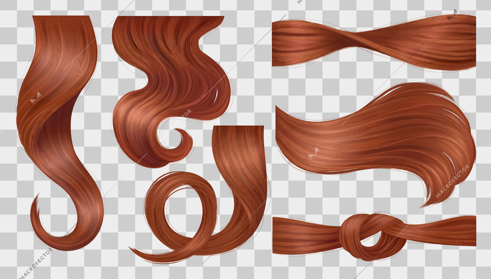 Brown hair curls icons set on transparent background isolated vector illustration