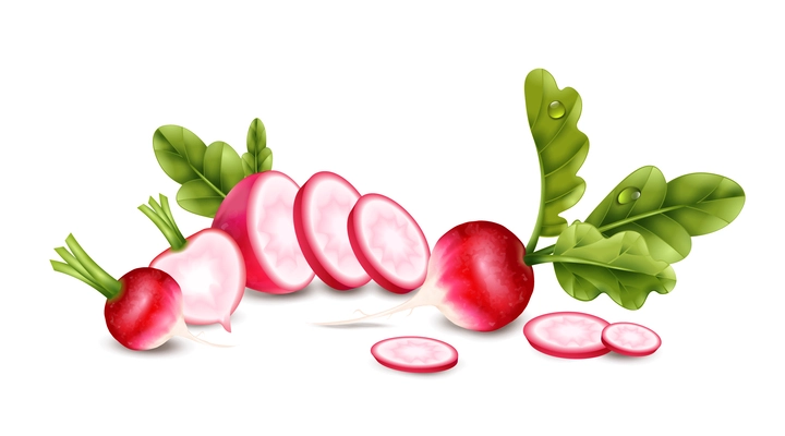 Radish realistic concept with healthy food symbols vector illustration