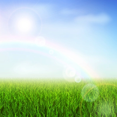 Field or meadow with green grass and rainbow vector illustration