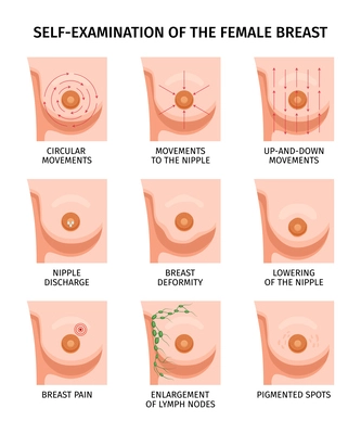 Female breast anatomy self examination set of isolated compositions with breasts front views and text captions vector illustration