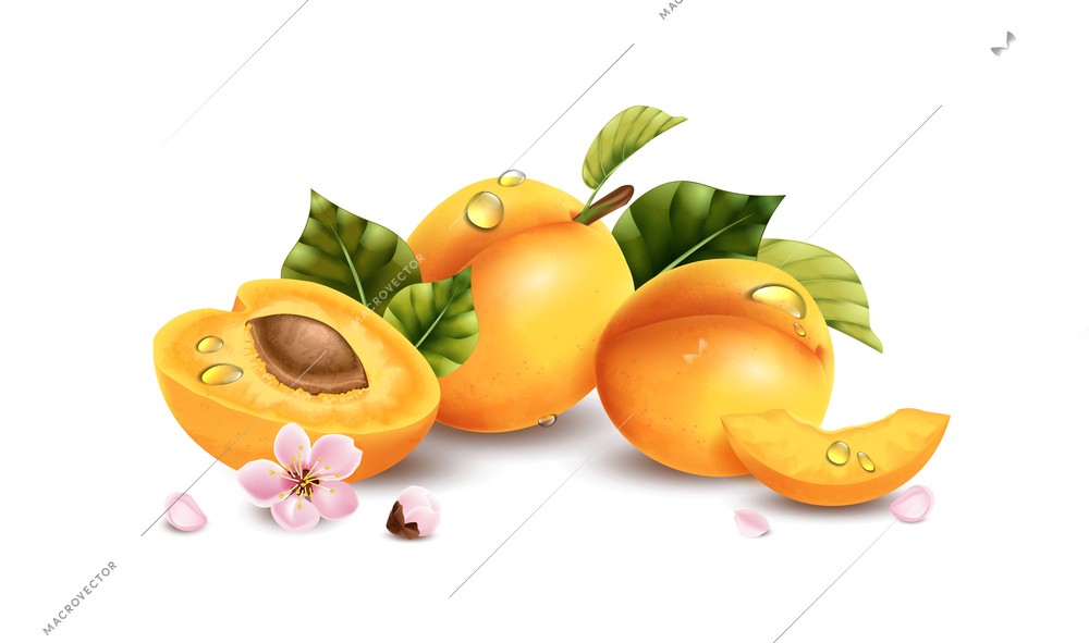 Realistic apricot composition with blank background and pile of fruits with leaves and flowers with shadows vector illustration