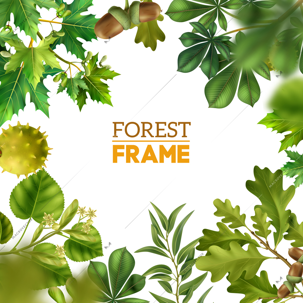 Realistic forest frame with deciduous tree branches on white background vector illustration