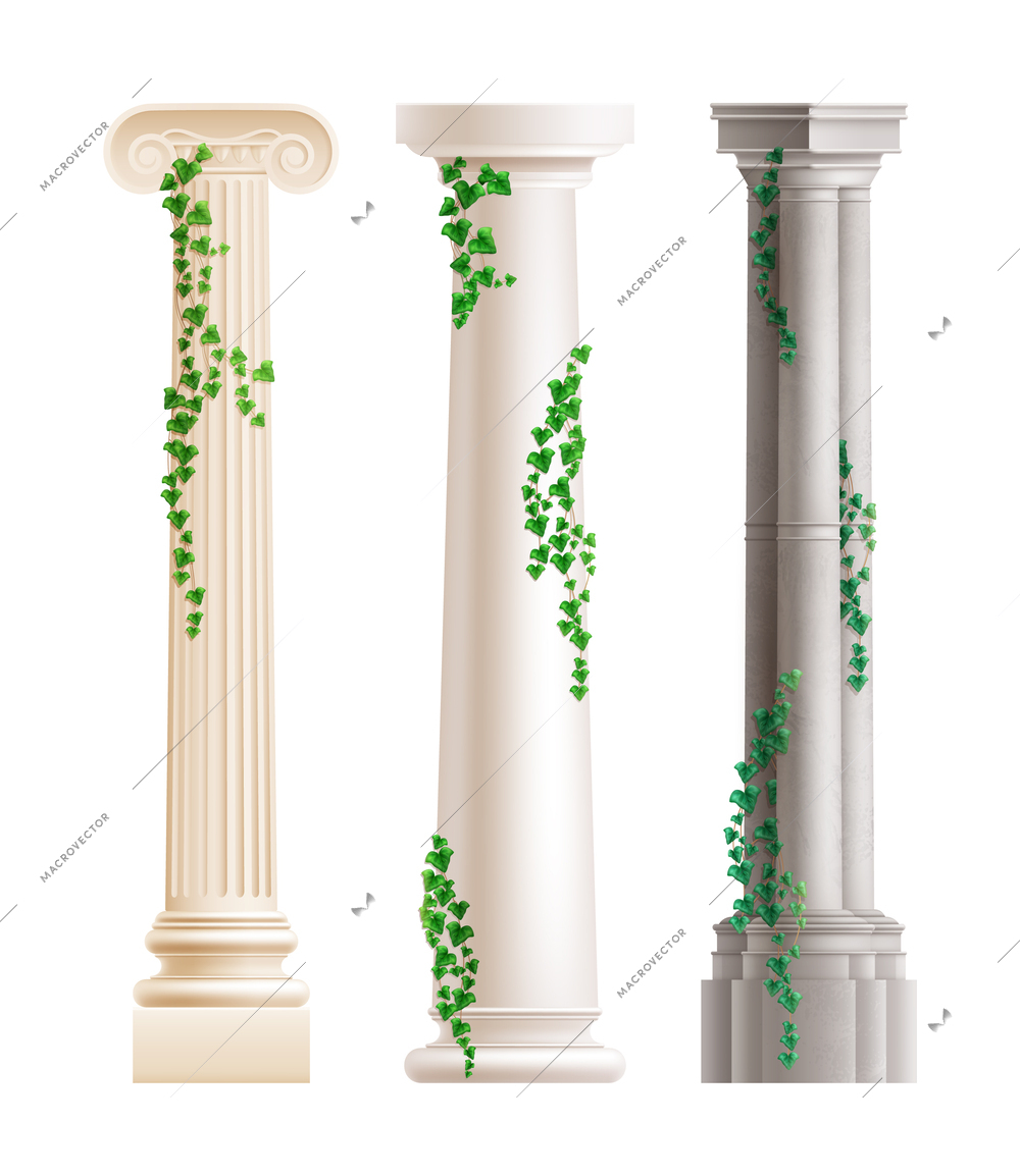 Antique stone columns with climbing green ivy realistic set isolated vector illustration