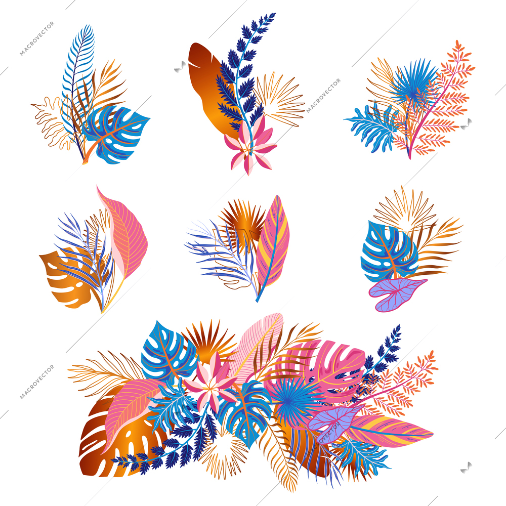 Bunches of color tropical leaves of various exotic plants flat set isolated on white background vector illustration