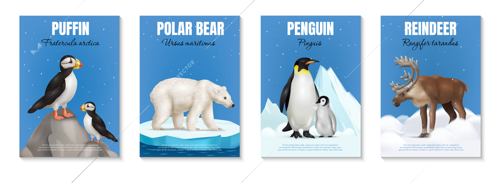 Arctic animals realistic posters set with puffin polar bear penguin reindeer on winter landscape background isolated vector illustration