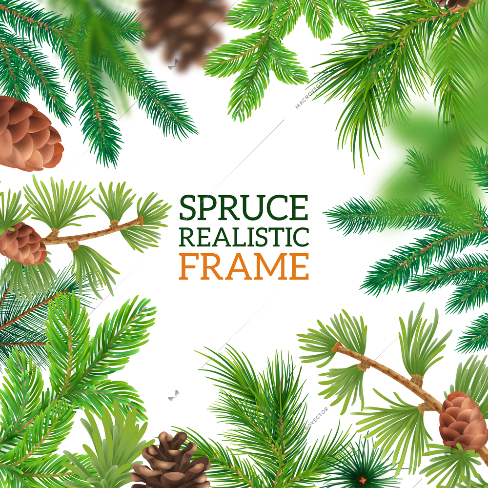 Spruce realistic frame with coniferous branches and cones on white background vector illustration