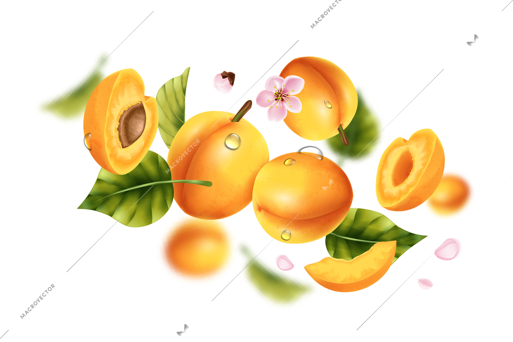 Realistic flying apricot composition with whole and cut fruits floating in air with flowers water drops vector illustration