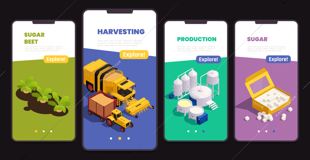 Sugar production mobile app set of smartphones with information about machinery for beet harvesting and factory equipment isometric vector illustration