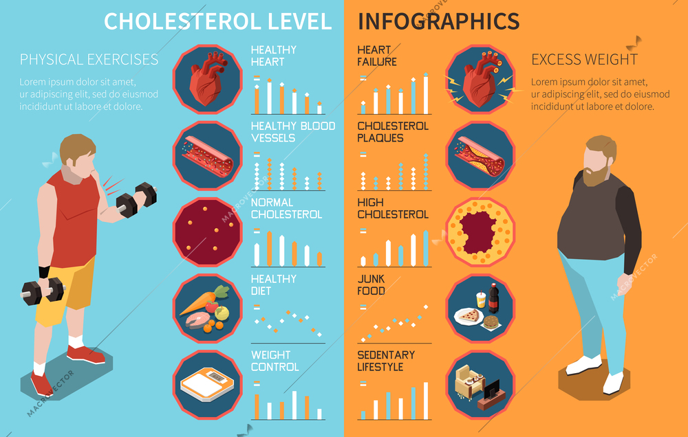 Cholesterol level infographics with healthy and excessed weight people vector illustration