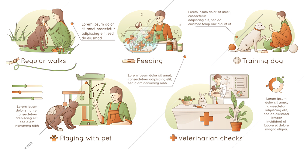 Pets care flat horizontal infographic with regular walks veterinarian checks training playing and feeding vector illustration