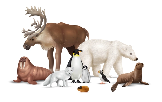 Arctic animals realistic composition with reindeer walrus seal polar bear ice fox lemming puffin penguins vector illustration