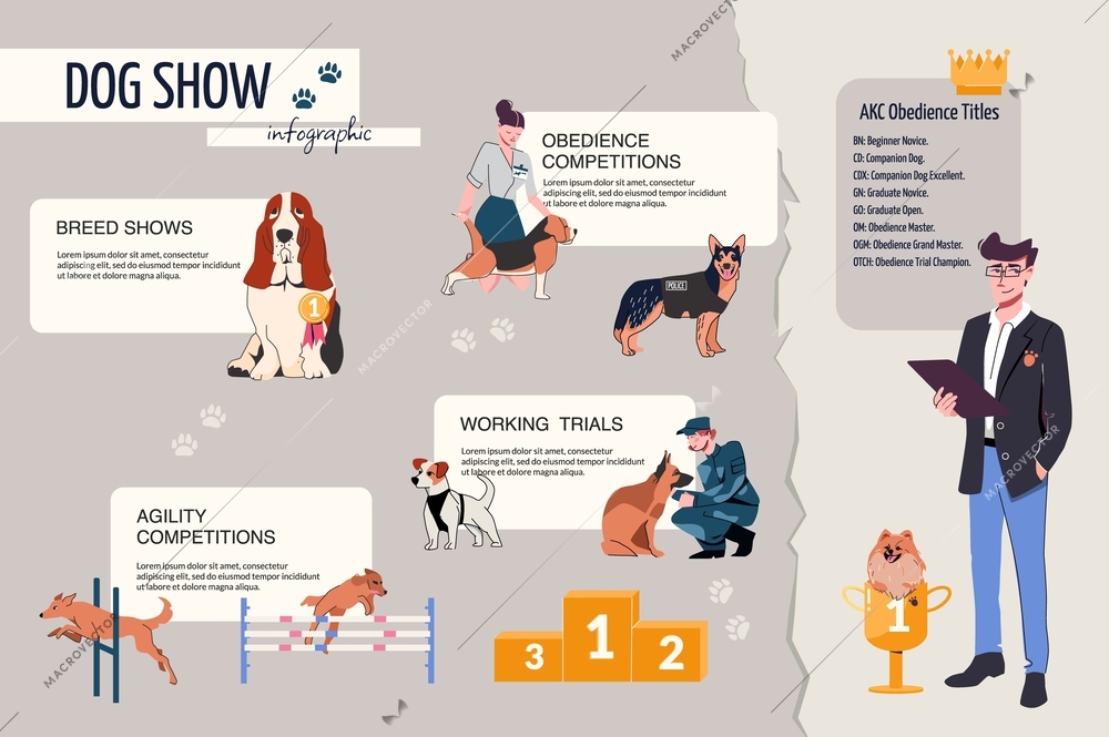 Dog breed show pet competition flat infographic with list of titles prize and pedestal vector illustration