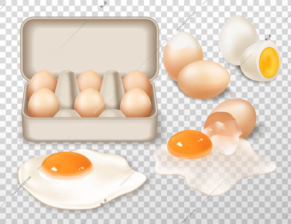 Farm eggs realistic composition consisting of fried boiled and raw eggs at transparent background vector illustration