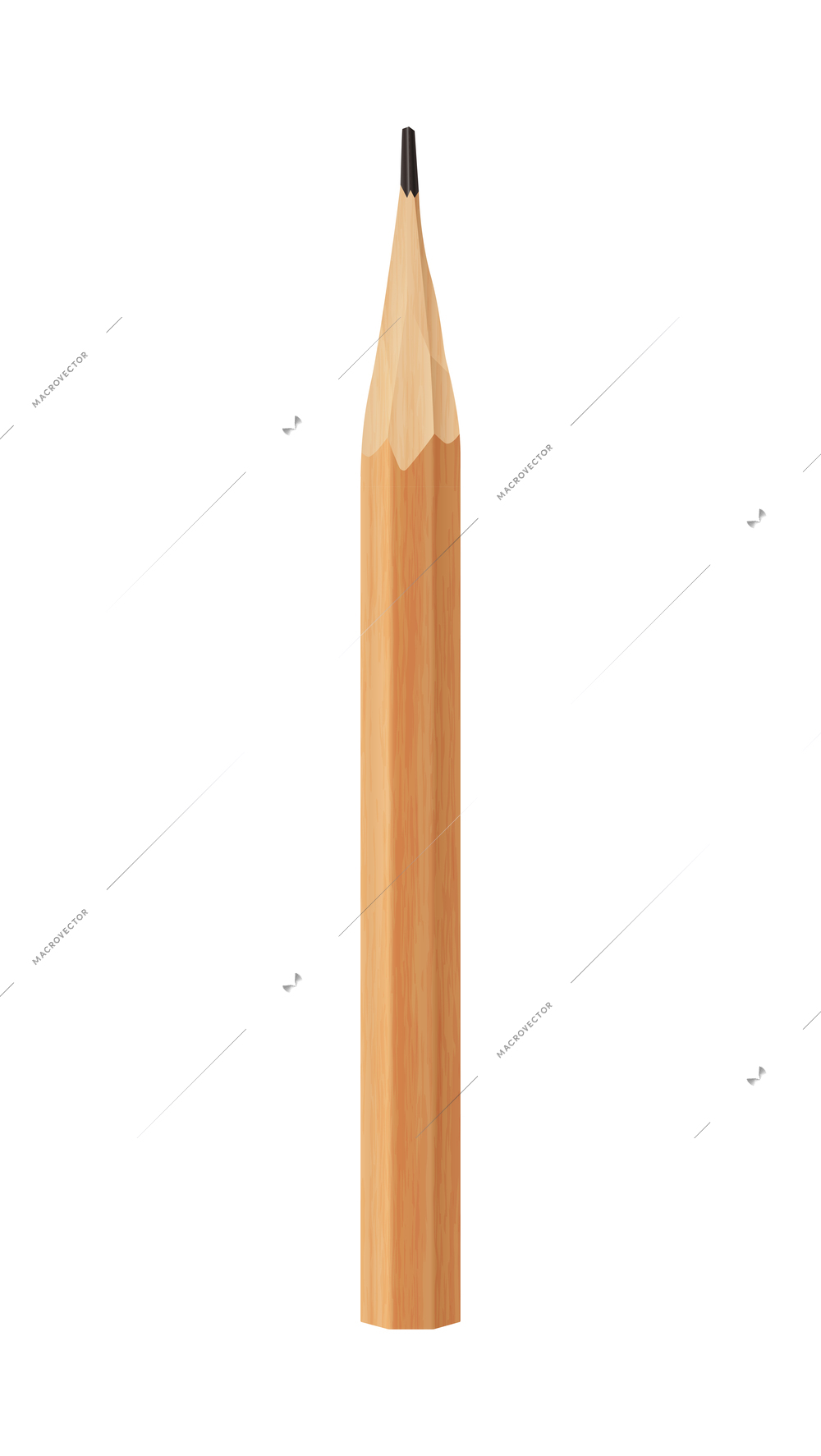 Realistic sharpened wooden lead pencil isolated on white background vector illustration