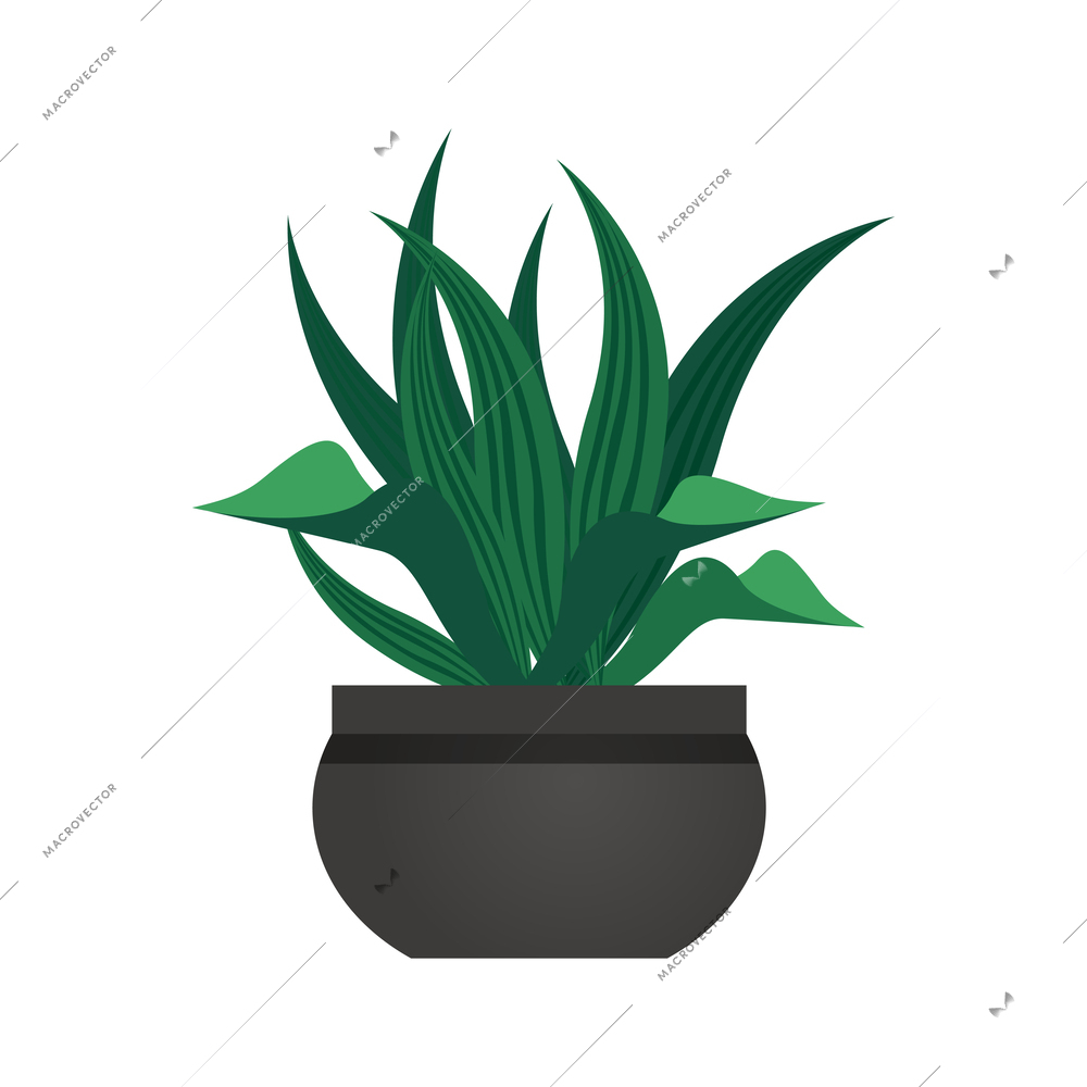 Flat potted green houseplant vector illustration