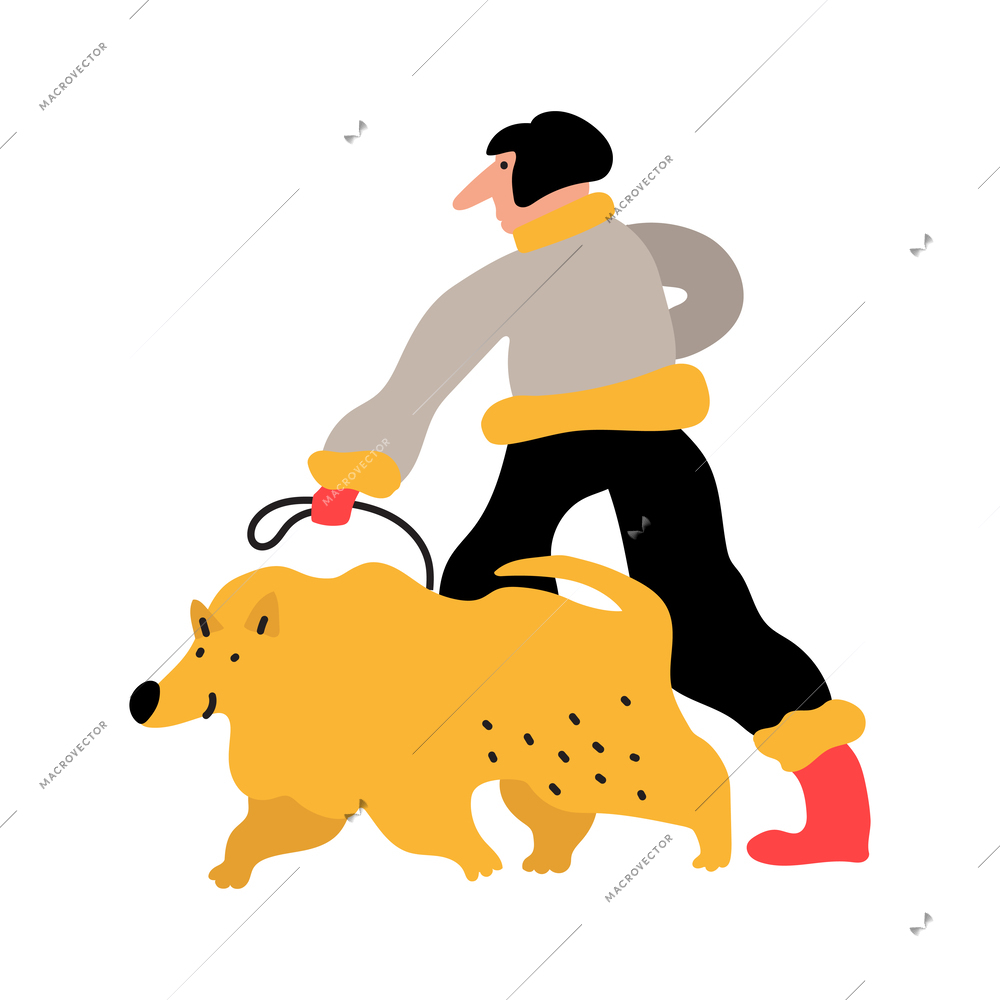 Person walking with big fluffy dog flat vector illustration