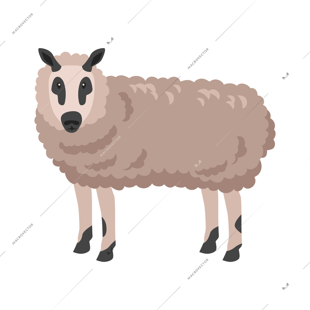 Grey sheep ewe flat icon on white background vector illustration