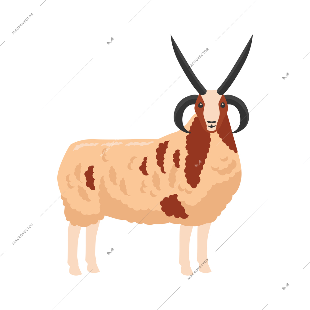 Sheep ram flat icon vector illustration