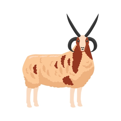 Sheep ram flat icon vector illustration