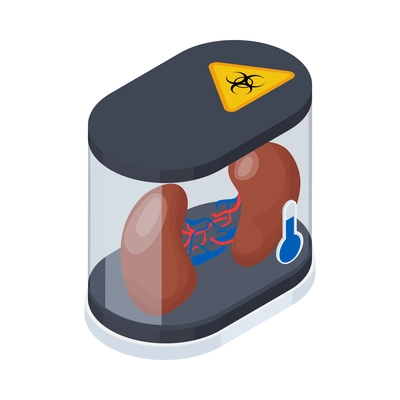 Cryonics cryogenics organ transplantation isometric icon with human kidneys in container vector illustration