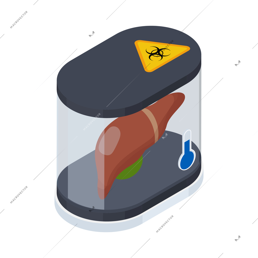 Cryonics cryogenics organ transplantation isometric icon with human liver in container vector illustration