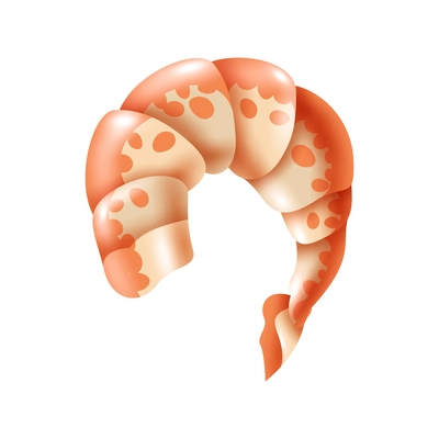 Realistic shrimp on white background vector illustration