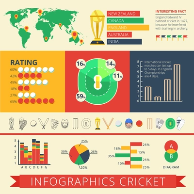 Historical background facts and international cricket matches statistics diagrams charts and rating report poster abstract vector illustration