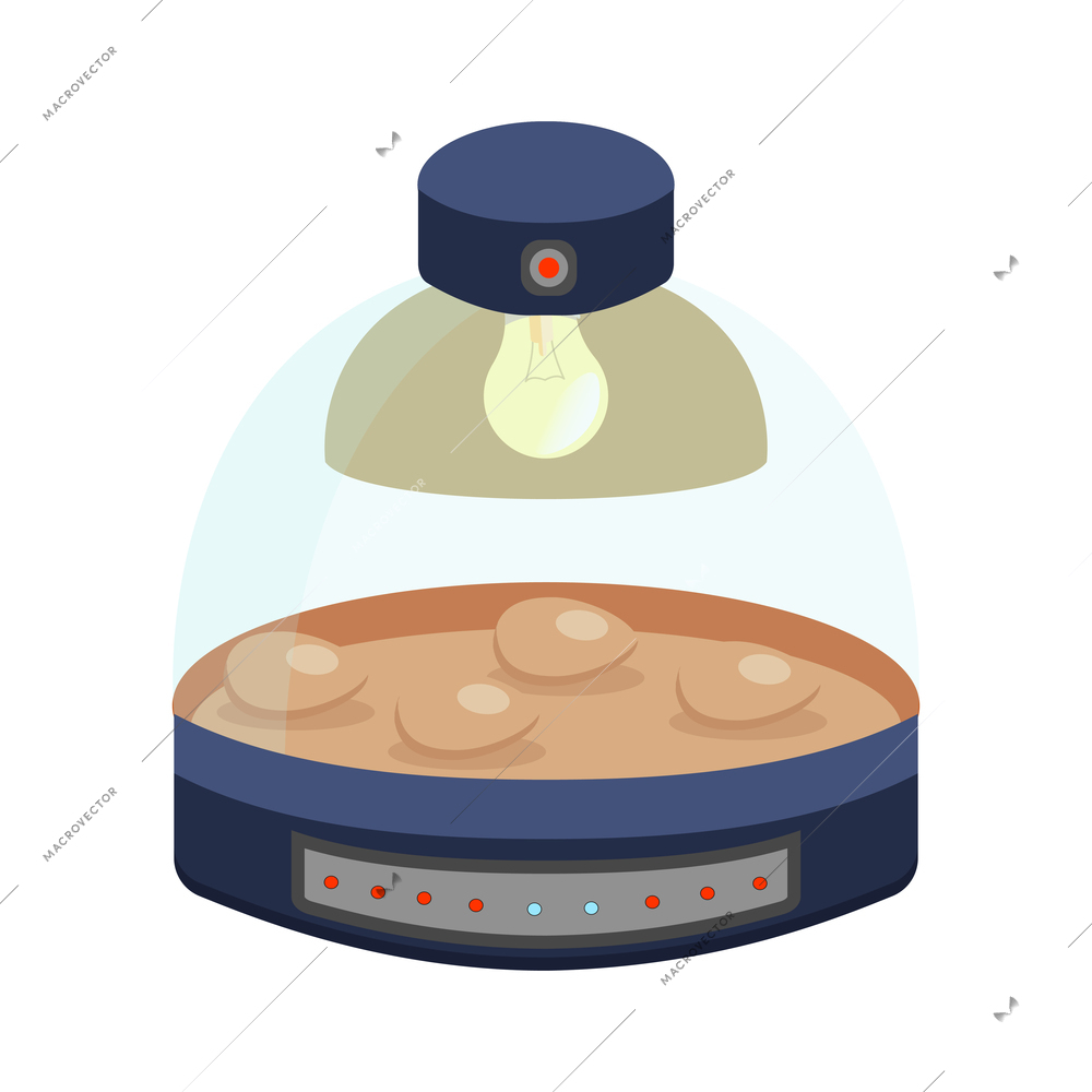 Smart farming egg incubator flat icon vector illustration