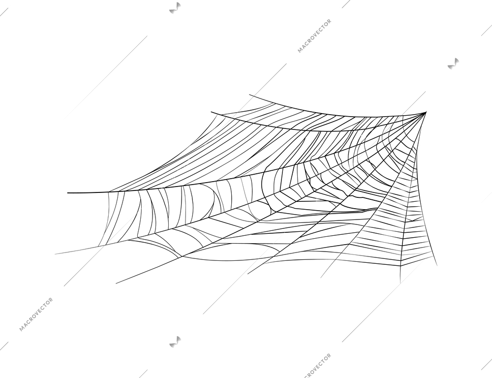 Spider web on white background realistic vector illustration