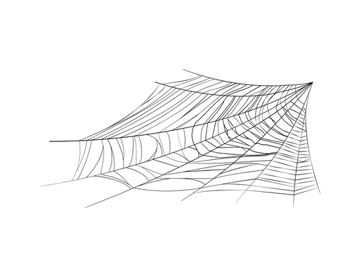 Spider web on white background realistic vector illustration