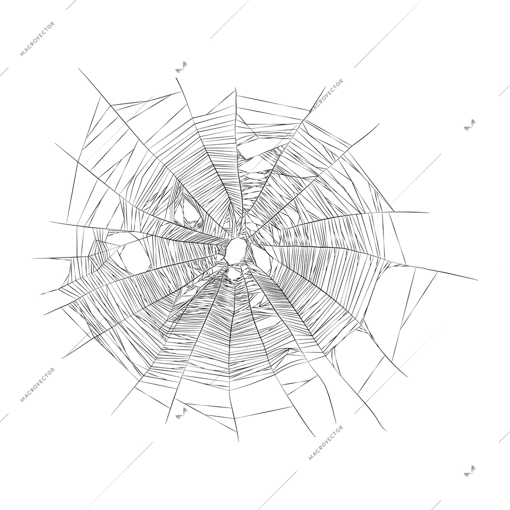 Realistic torn round spider web on white background vector illustration