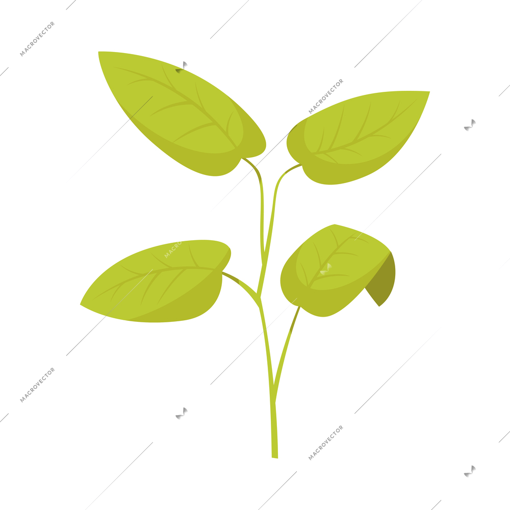 Green plant on white background cartoon vector illustration