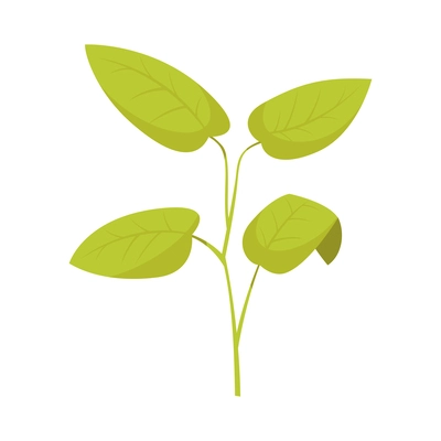 Green plant on white background cartoon vector illustration