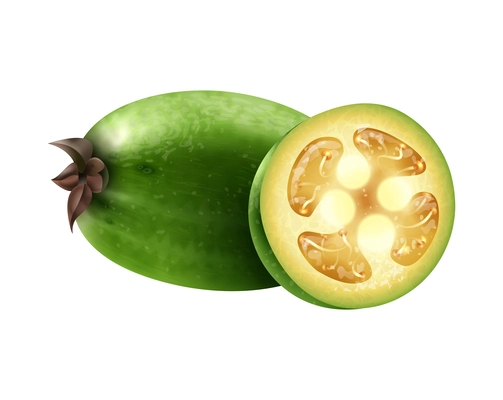 Realistic whole and sliced feijoa vector illustration