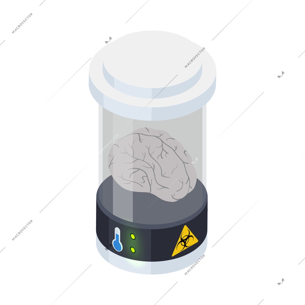 Cryonics cryogenics organ transplantation isometric icon with human brain in container vector illustration