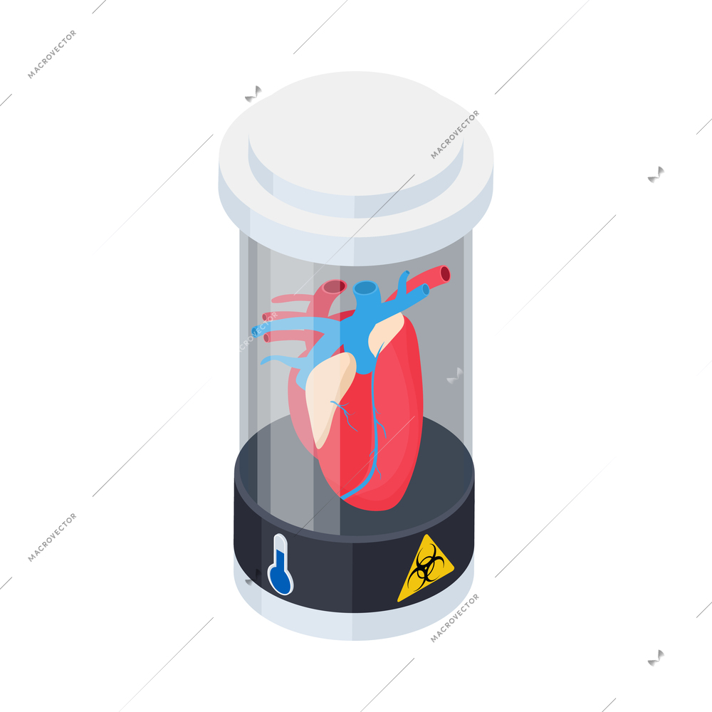 Cryonics cryogenics organ transplantation isometric icon with human heart in container vector illustration