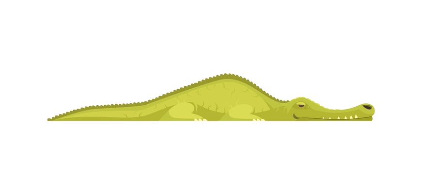 Green crocodile on white background cartoon vector illustration