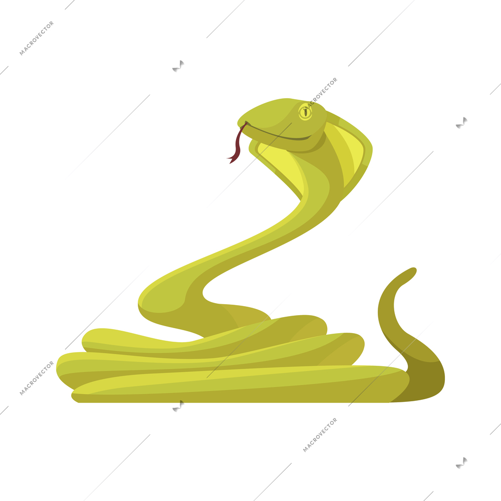 Cartoon green snake on white background vector illustration