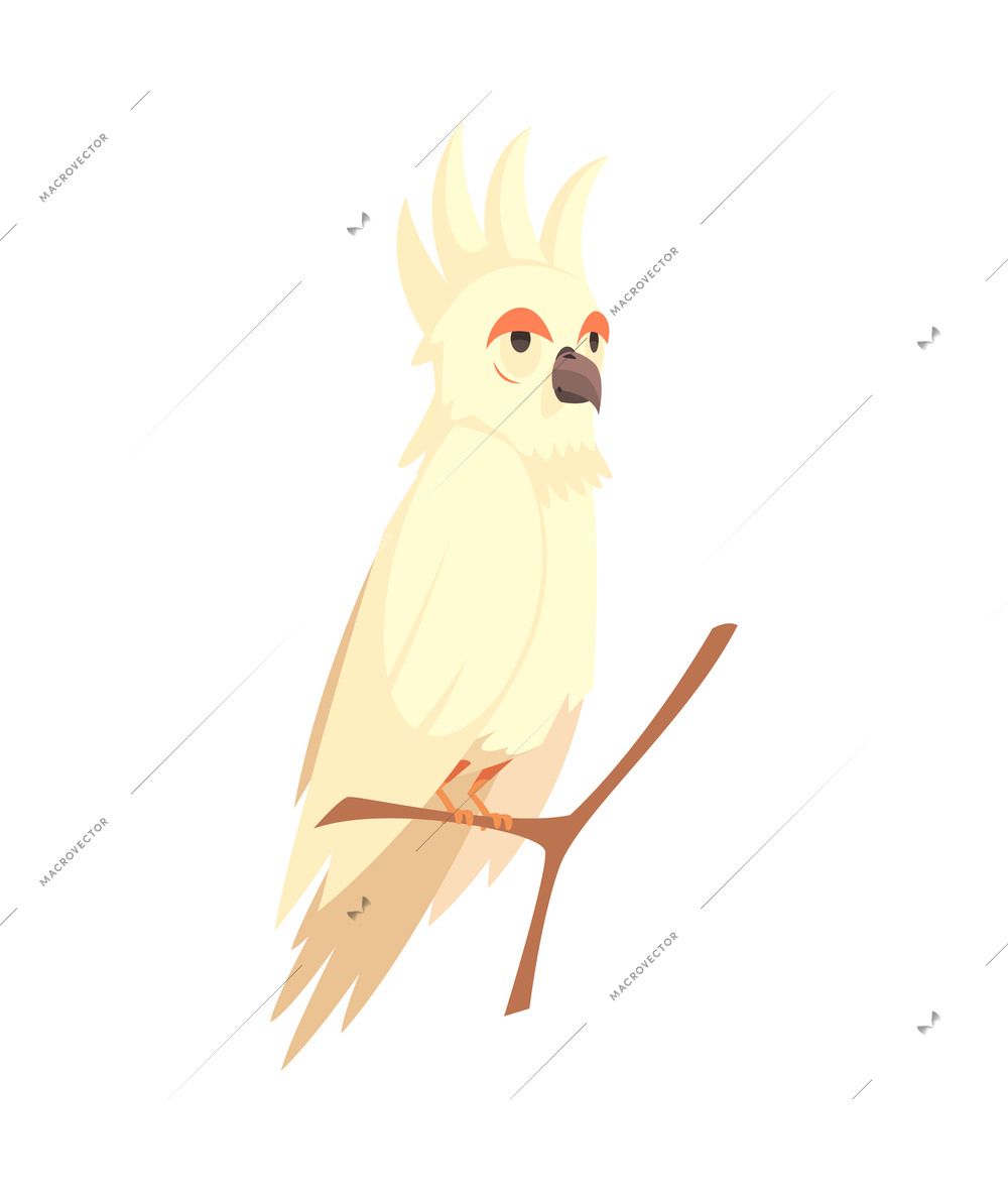 Cartoon cute white parrot on tree branch vector illustration