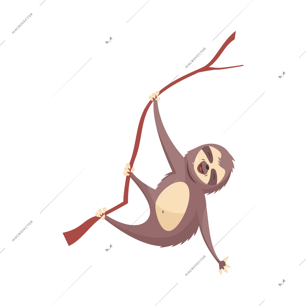 Cartoon cute sloth on tree branch vector illustration