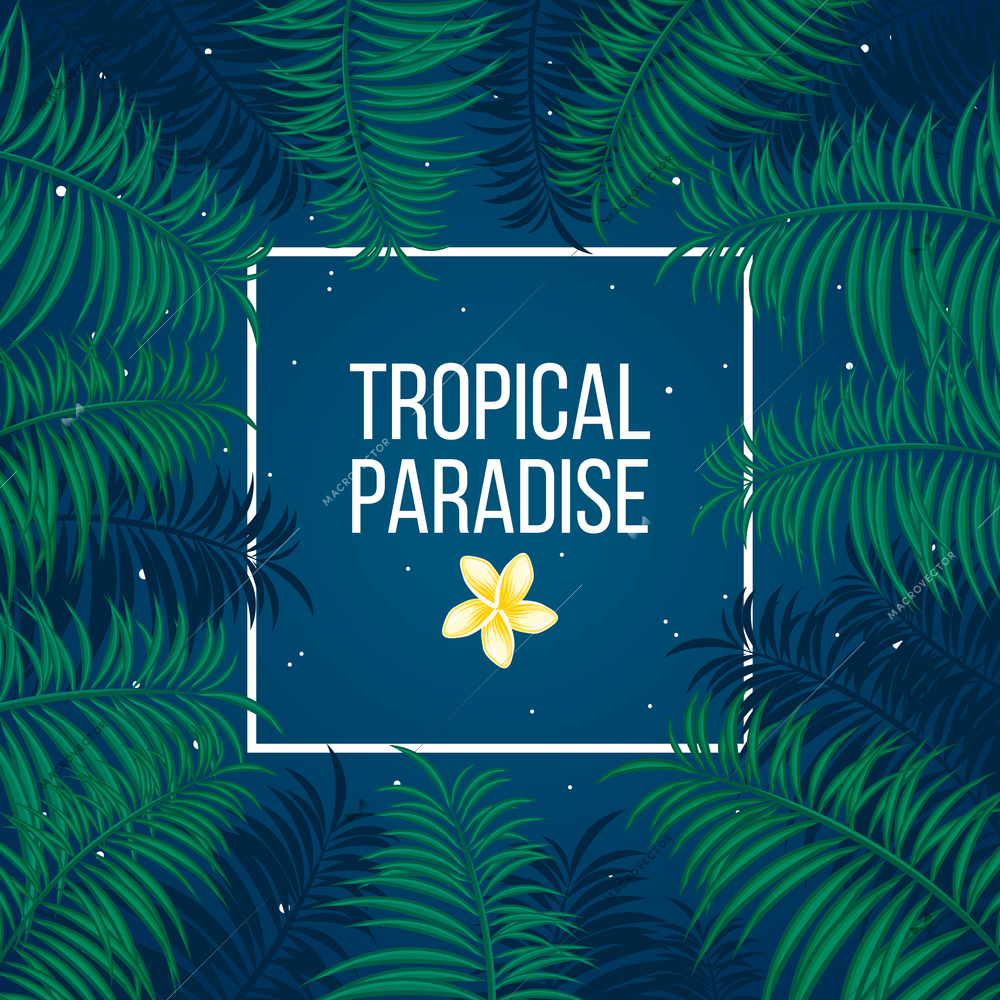 Tropical summer night under sky full of stars and palm leaves background template vector illustration.