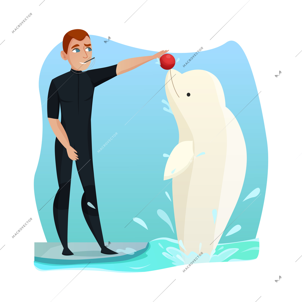 Dolphinarium trainer during performance with beluga whale flat vector illustration