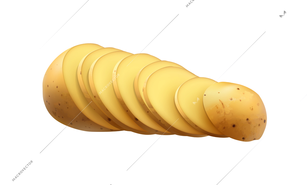 Realistic peeled raw chipped potato vector illustration