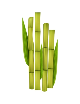 Realistic green bamboo sticks with leaves vector illustration