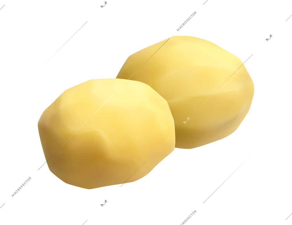 Two raw peeled potatoes realistic vector illustration