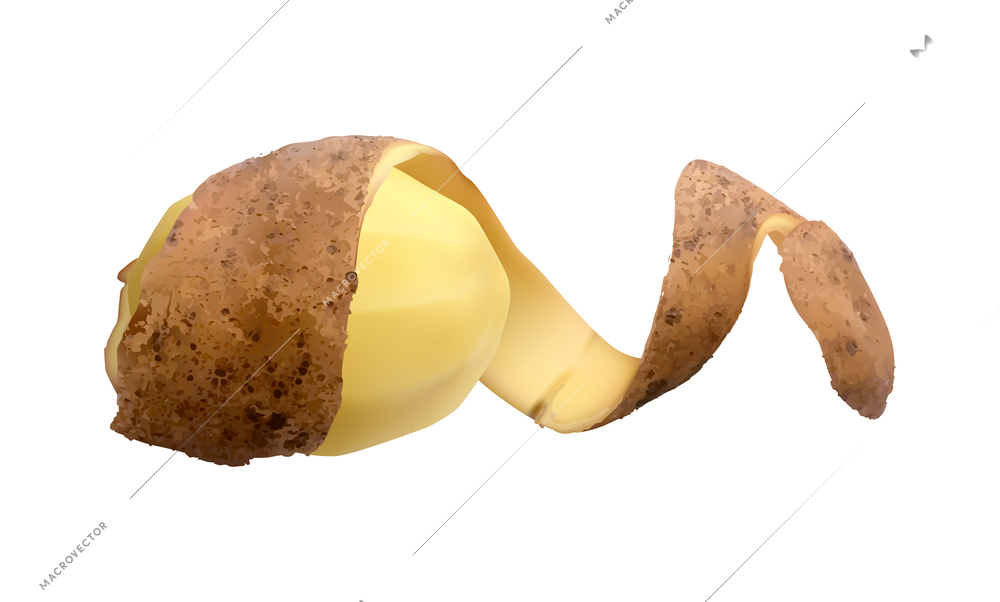 Raw potato with twisted peel realistic vector illustration