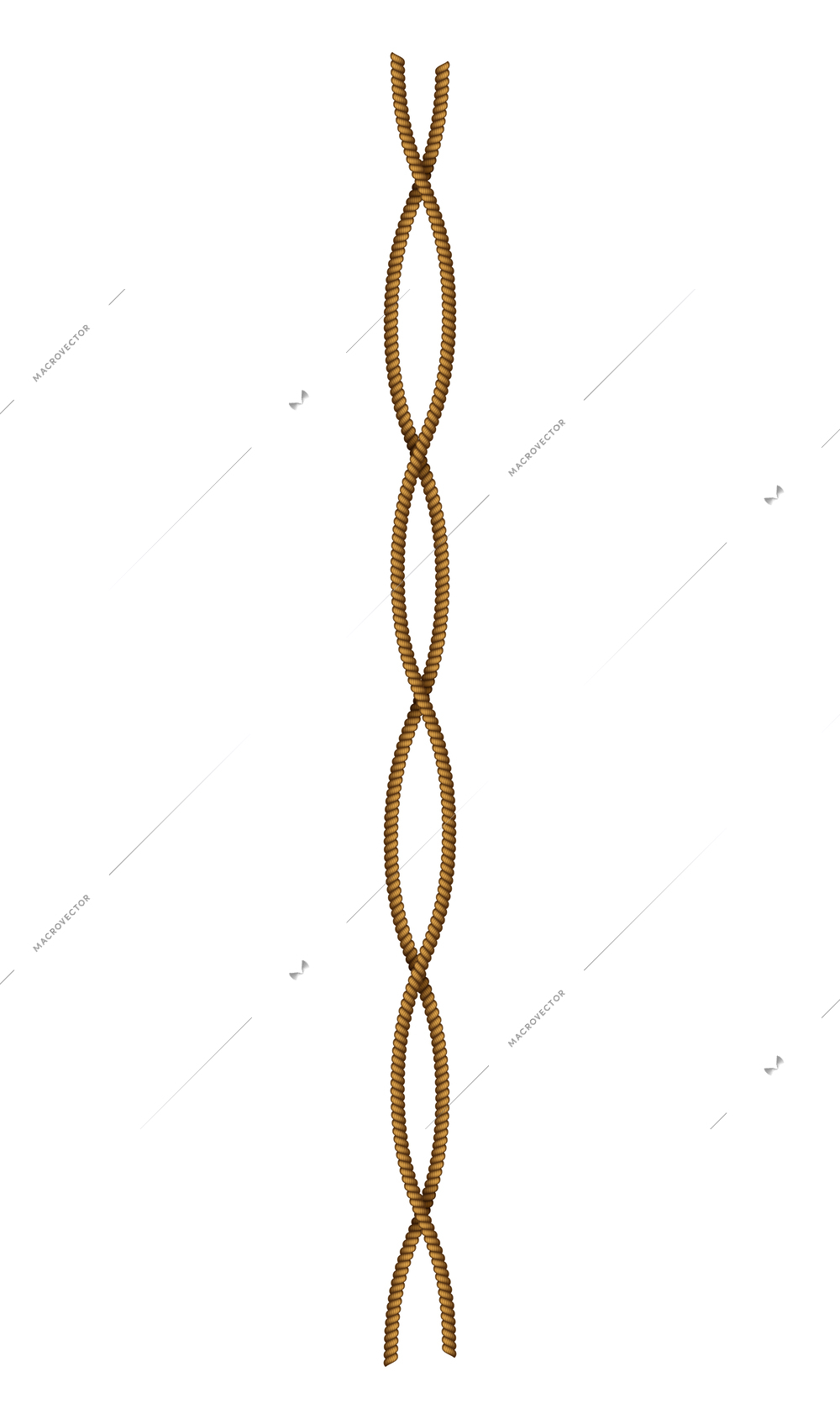 Realistic twisting ropes decorative element on white background vector illustration