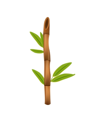 Realistic brown bamboo stick with green leaves isolated vector illustration