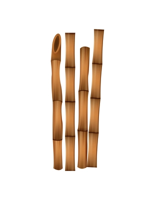 Realistic dry brown bamboo sticks on white background isolated vector illustration